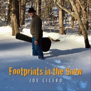 Joe Cicero - Footprints in the Snow