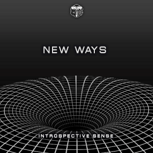 Introspective Sense - New Ways