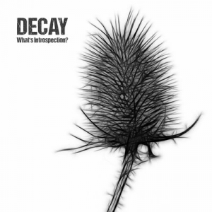 Decay - What's Introspection