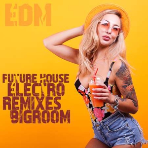 VA - Future House, Electro Remixes, EDM Bigroom