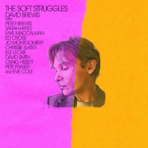 David Brewis - The Soft Struggles