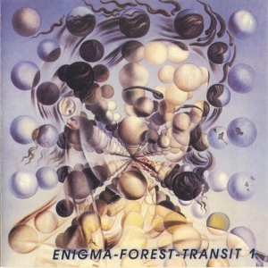 VA - Enigma-Forest-Transit 1