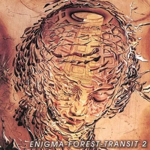 VA - Enigma-Forest-Transit 2