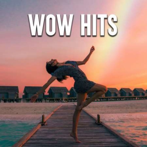 VA - Wow Hits