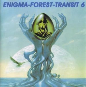 VA - Enigma-Forest-Transit 6