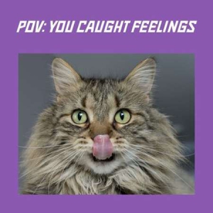 VA - pov: you caught feelings