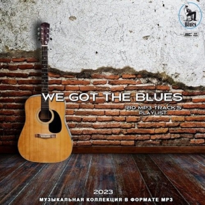VA - We Got The Blues