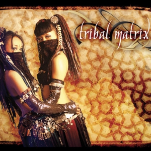 VA - Tribal Matrix