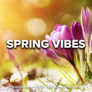 VA - Spring Vibes 