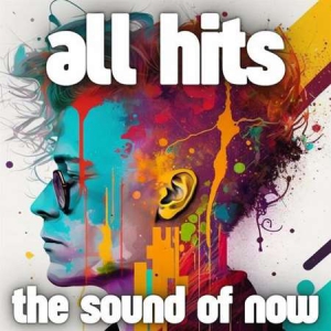 VA - all hits- the sound of now