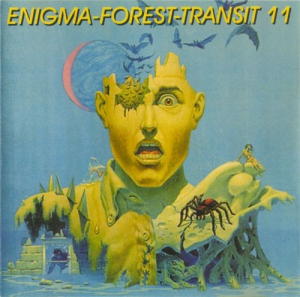 VA - Enigma-Forest-Transit 11