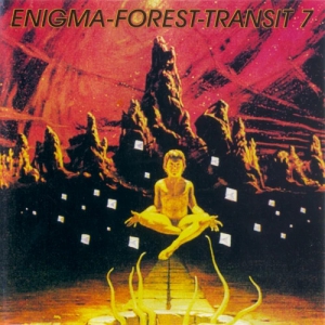 VA - Enigma-Forest-Transit 7