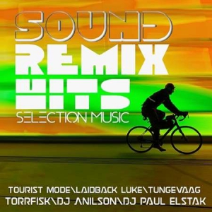 VA - Selection Music Remix Hits Sound 02