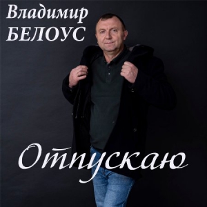 Владимир Белоус - Отпускаю