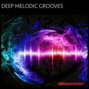  VA - Deep Melodic Grooves