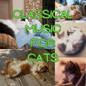 VA - Classical Music for Cats