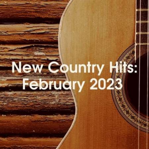 VA - New Country Hits: February