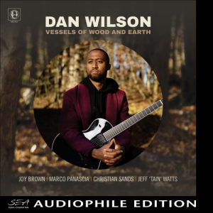Dan Wilson - Vessels of Wood and Earth
