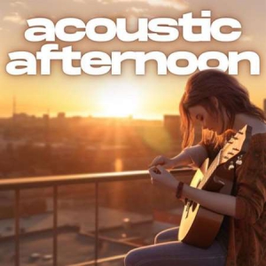 VA - acoustic afternoon