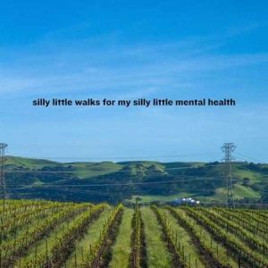VA - silly little walks for my silly little mental health