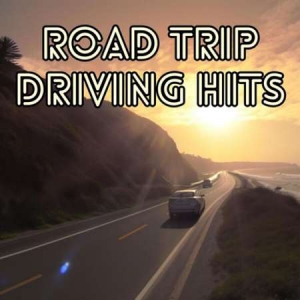 VA - Road Trip Driving Hits