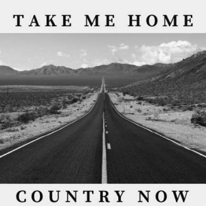 VA - Take Me Home - Country Now