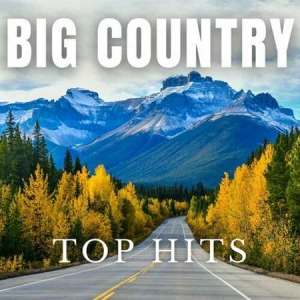 VA - Big Country Top Hits