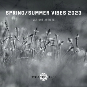 VA - Spring / Summer Vibes 2023