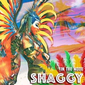 Shaggy - In The Mood