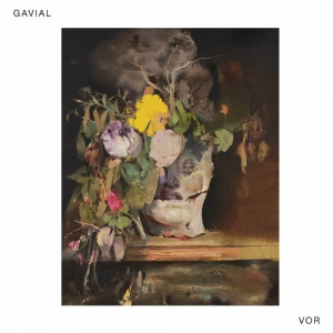 Gavial - VOR