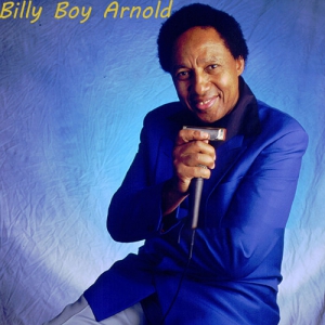 Billy Boy Arnold - 13 Albums