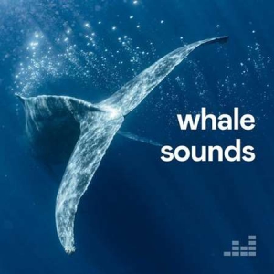 VA - Whale Sounds