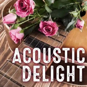 VA - Acoustic Delight