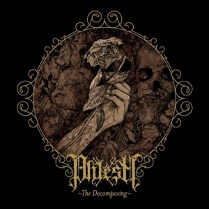 Phlesh - The Decomposing