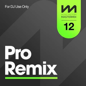 VA - Mastermix Pro Remix 12