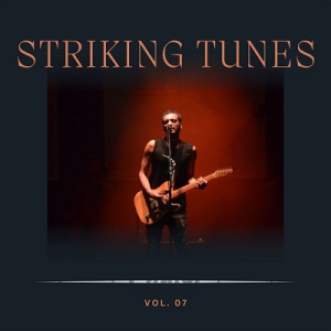VA - Striking Tunes Vol 7