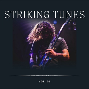 VA - Striking Tunes Vol 1