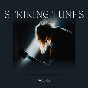 VA - Striking Tunes Vol 2 