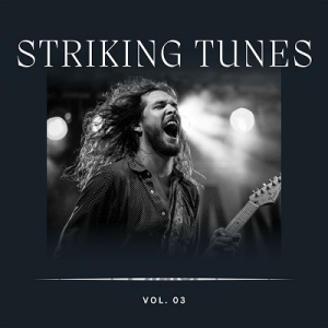 VA - Striking Tunes Vol 3