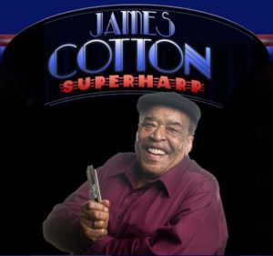 James Cotton - 24 Albums