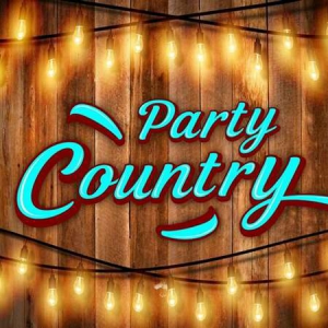 VA - Party Country