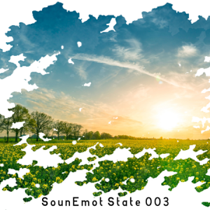 VA - SounEmot State [03]