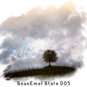VA - SounEmot State [05]