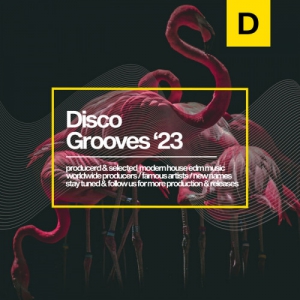 VA - Disco Grooves 2023