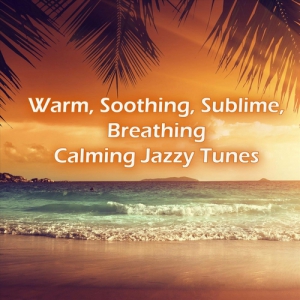 VA - Warm, Soothing, Sublime, Breathing Calming Jazzy Tunes