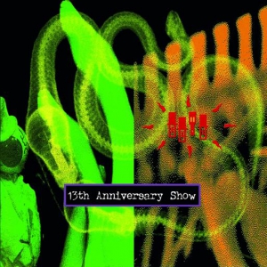 The Residents - 13th Anniversary Show - Live In The USA [2CD]