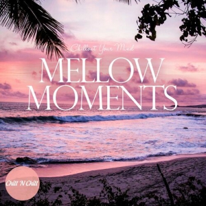 VA - Mellow Moments: Chillout Your Mind