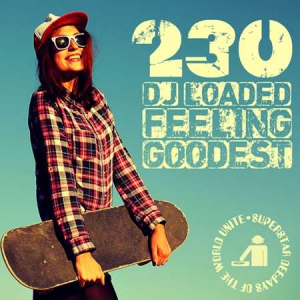 VA - 230 DJ Loaded - Feeling Goodest