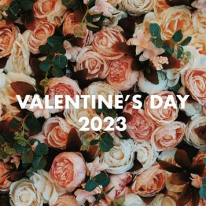 VA - Valentines Day