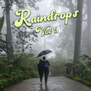 VA - Raindrops Vol 5